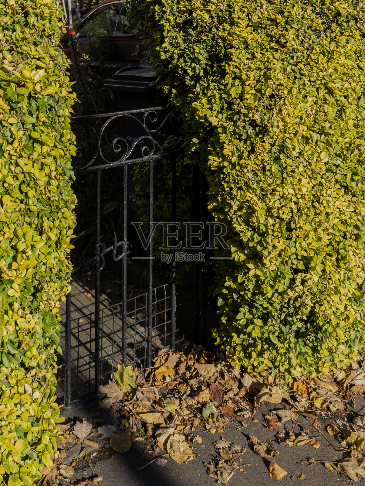 爱丁堡，苏格兰，英国照片摄影图片