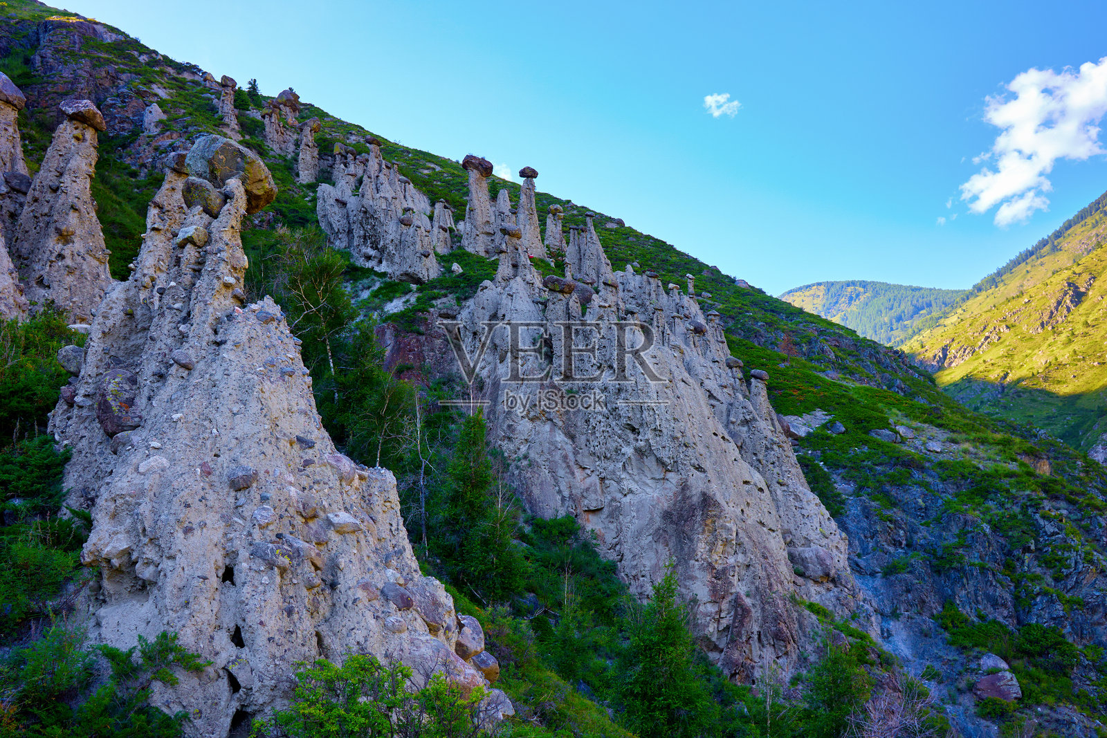 壮观的风景，展示了阿尔泰山脉中的石蘑菇和楚柳什曼河。照片摄影图片