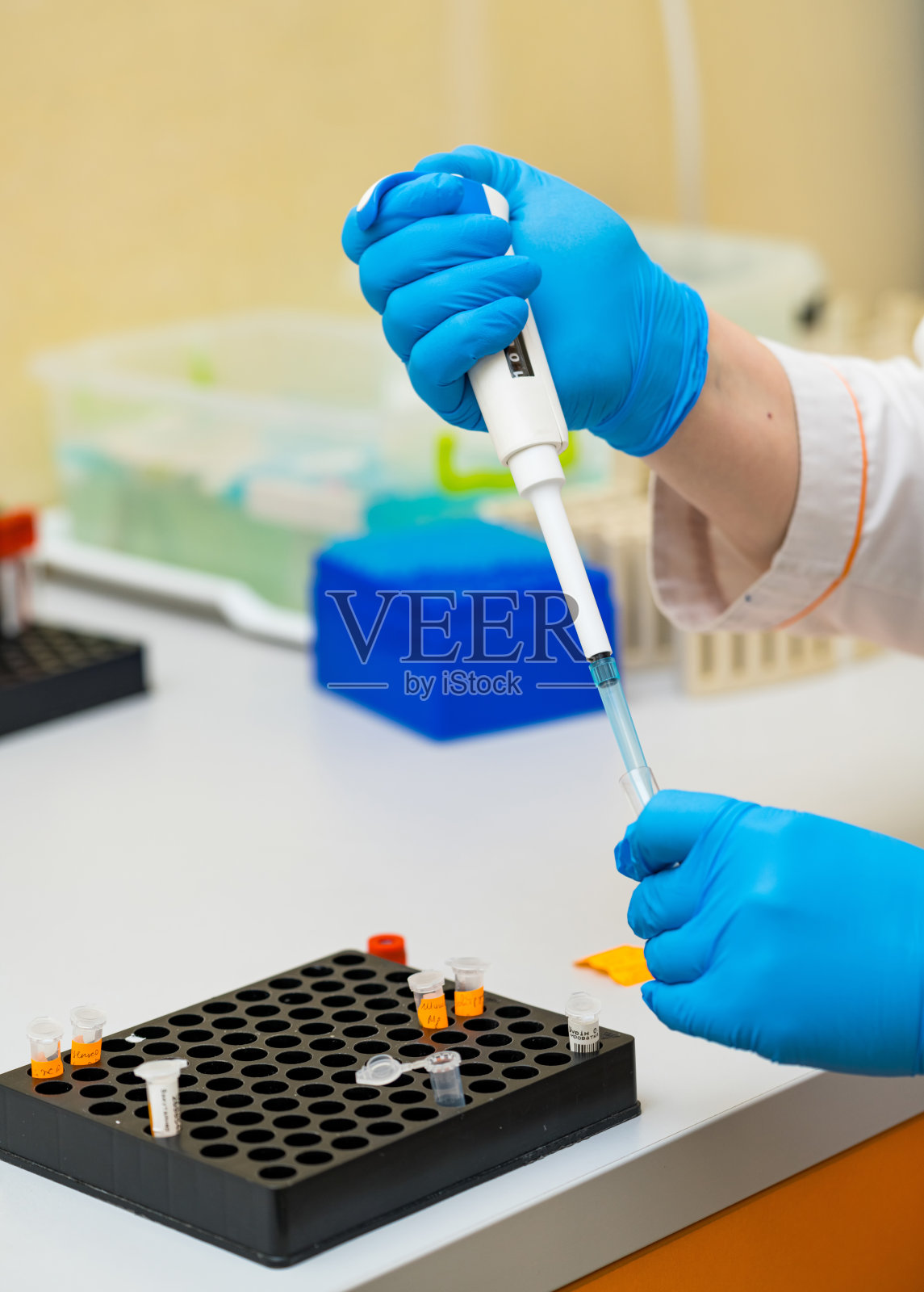 实验室技术人员戴着蓝色手套，小心翼翼地用移液管在研究实验室中转移液体样本。照片摄影图片