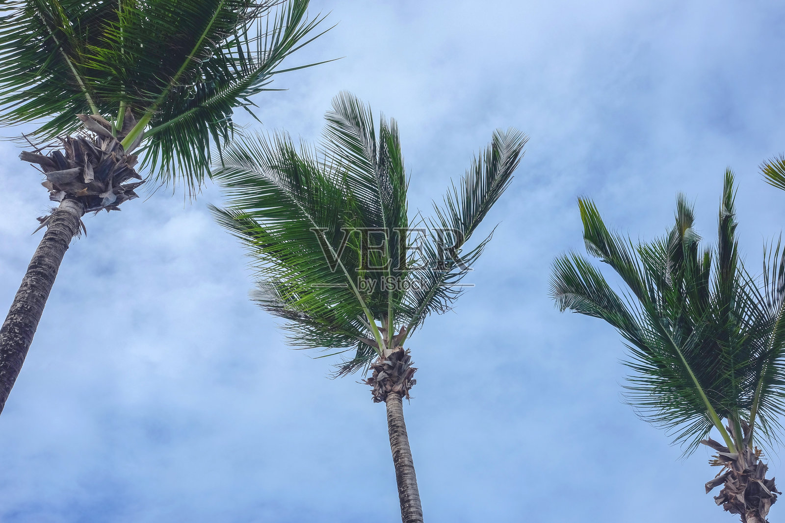 波多黎各海滩照片摄影图片