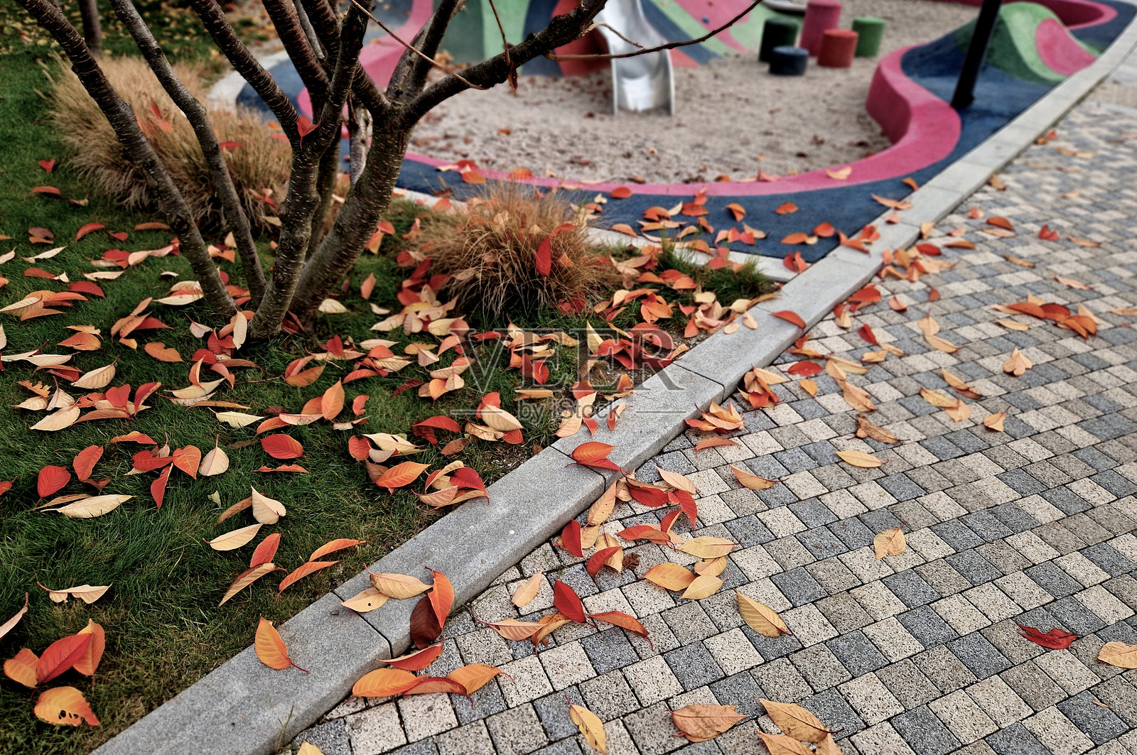 清理树叶是一项繁重的工作，租赁合适设备的耙子可以帮助您。使用耙子和吹风机清洁您的游乐场。物品管理广告照片摄影图片