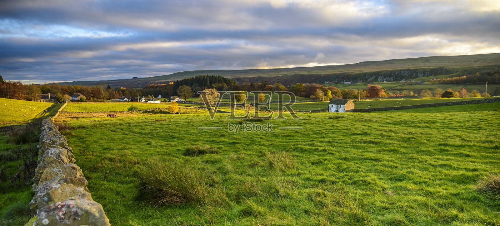 高地农业田照片摄影图片