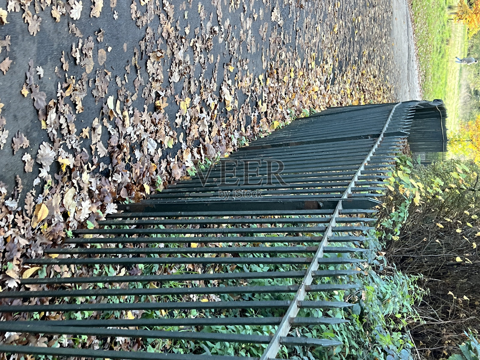 围栏照片摄影图片