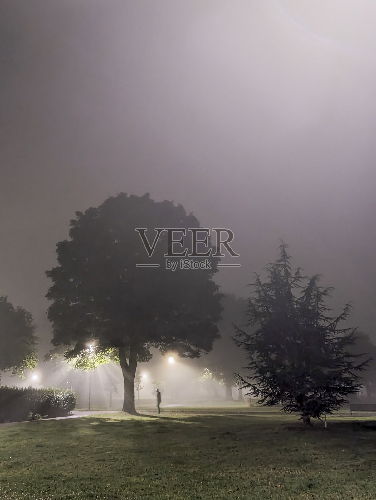 爱丁堡的莱斯链接公园夜景，苏格兰，英国照片摄影图片