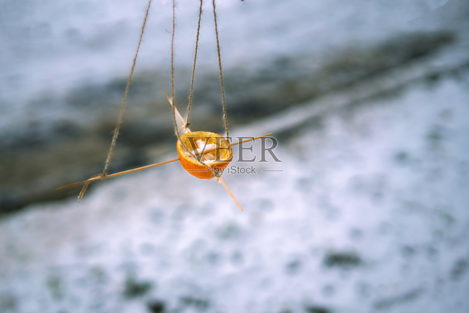 环保鸟类和动物喂食器，由半个橙子皮和木棍制成，庆祝可持续设计和自然友好实践照片摄影图片