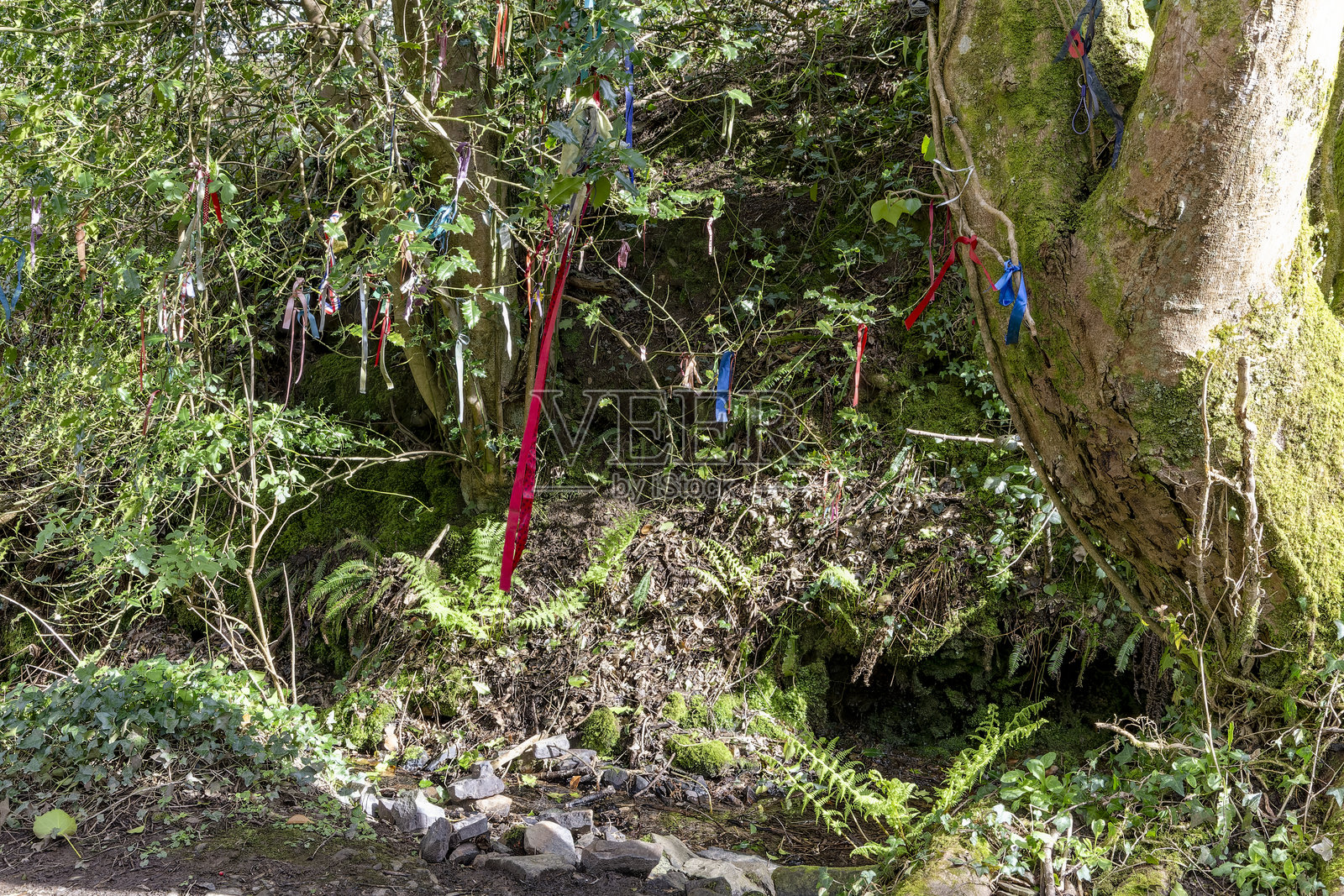 色彩斑斓的图像展示了大托灵顿公园的神圣治愈之井——可维提春，周围挂满了祈祷丝带。照片摄影图片