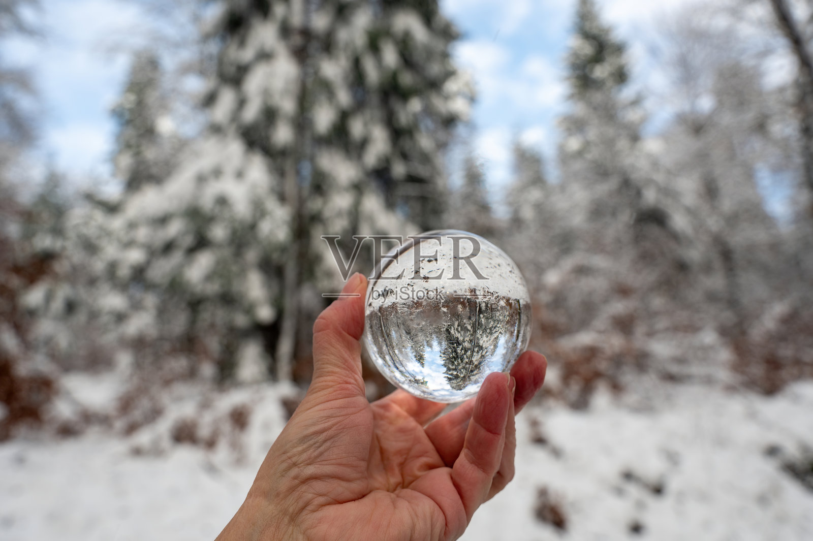 手握玻璃球，里面反射着雪-covered树木照片摄影图片