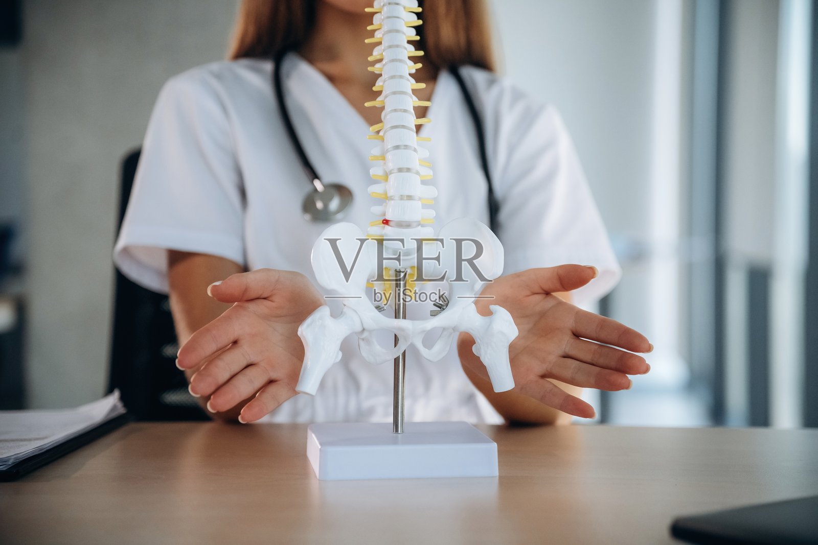 展示桌上的脊柱模型。专业女性医生在室内诊所。照片摄影图片