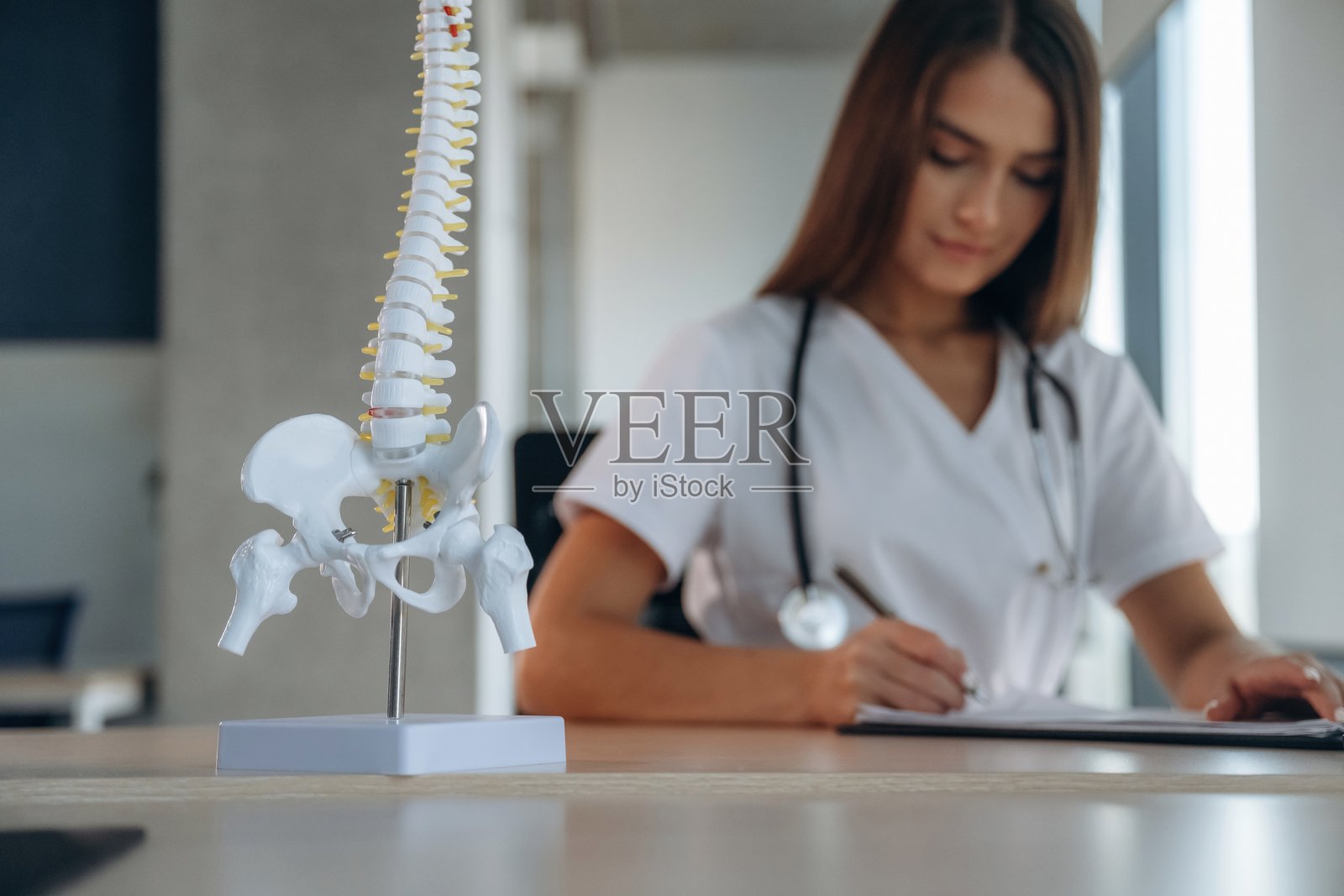 在室内诊所，桌子上放着脊柱模型，专业女性医生正在写文件。照片摄影图片