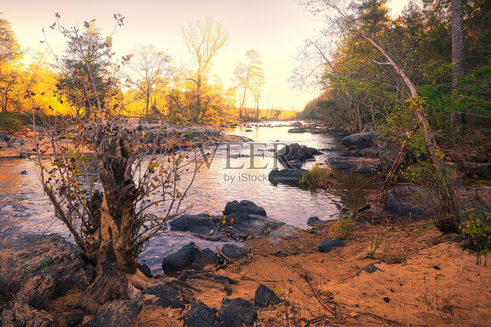 适者生存照片摄影图片