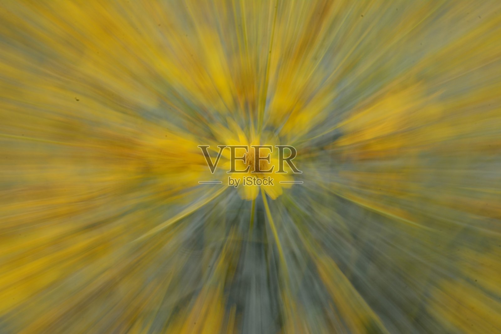 加利福尼亚沙漠照片摄影图片