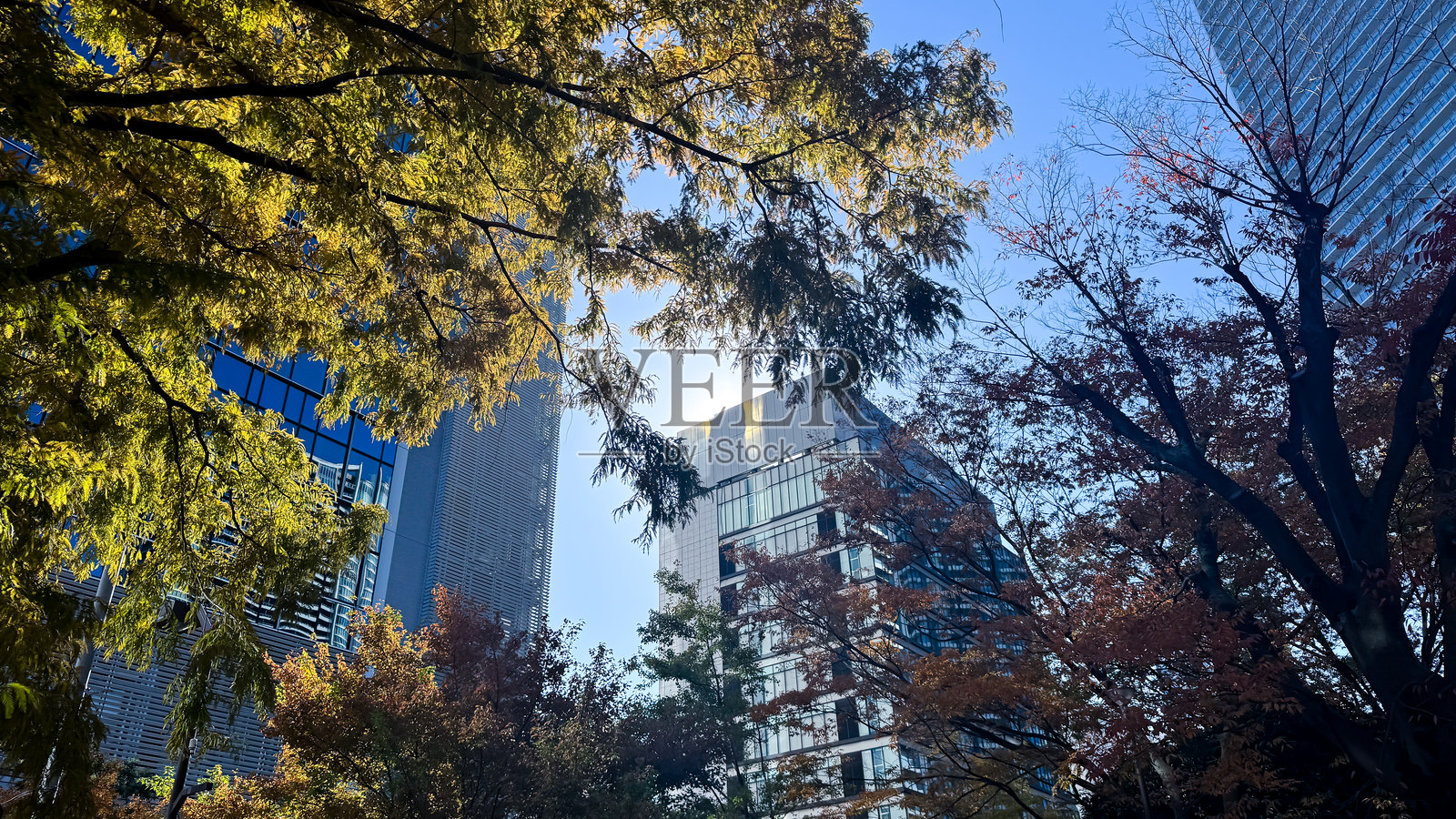 东京的美丽景色照片摄影图片