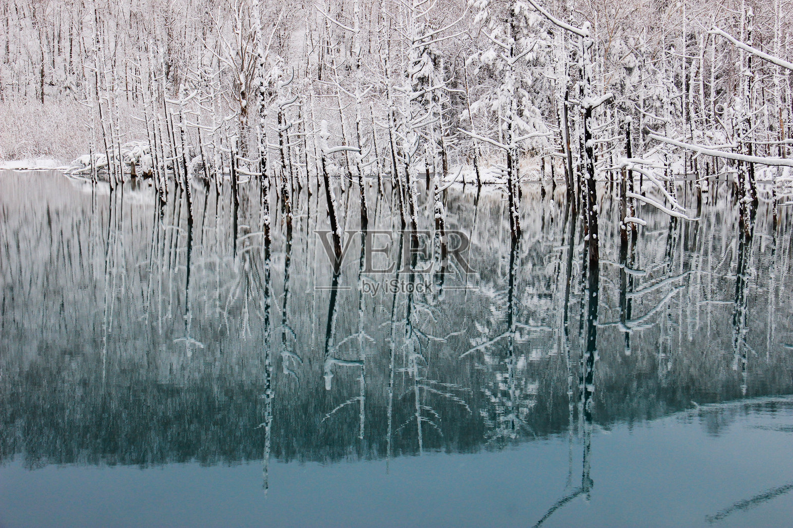 冬季美瑛的蓝色池塘照片摄影图片