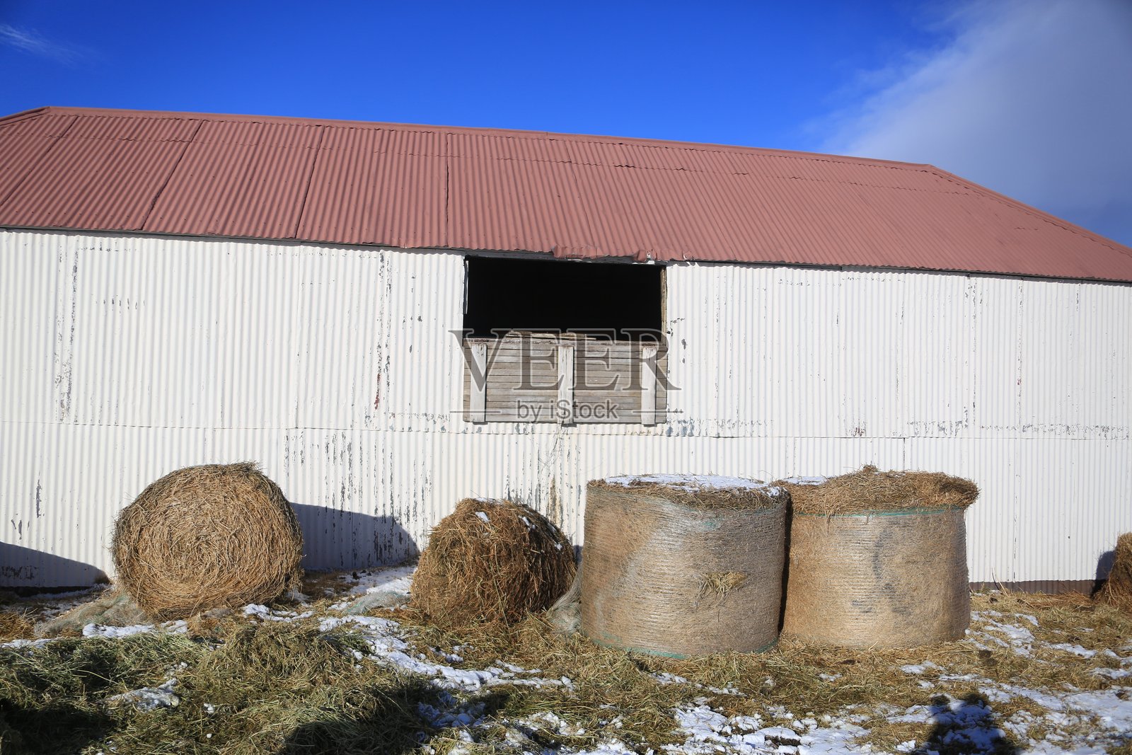 导游在南非的野生动物园观察猎豹照片摄影图片