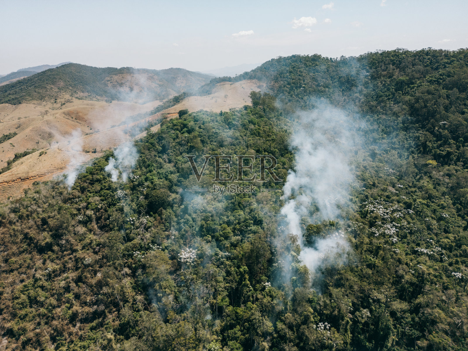 乡村地区森林中的烟雾斑点照片摄影图片