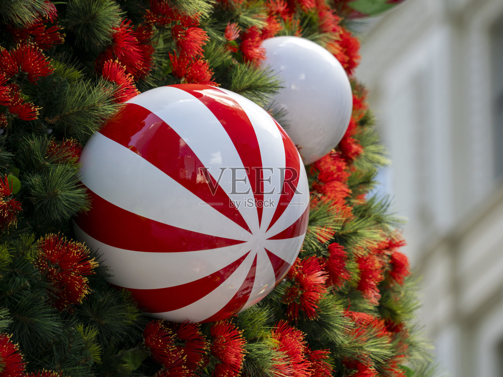 奥克兰，新西兰的圣诞树装饰品特写图。照片摄影图片