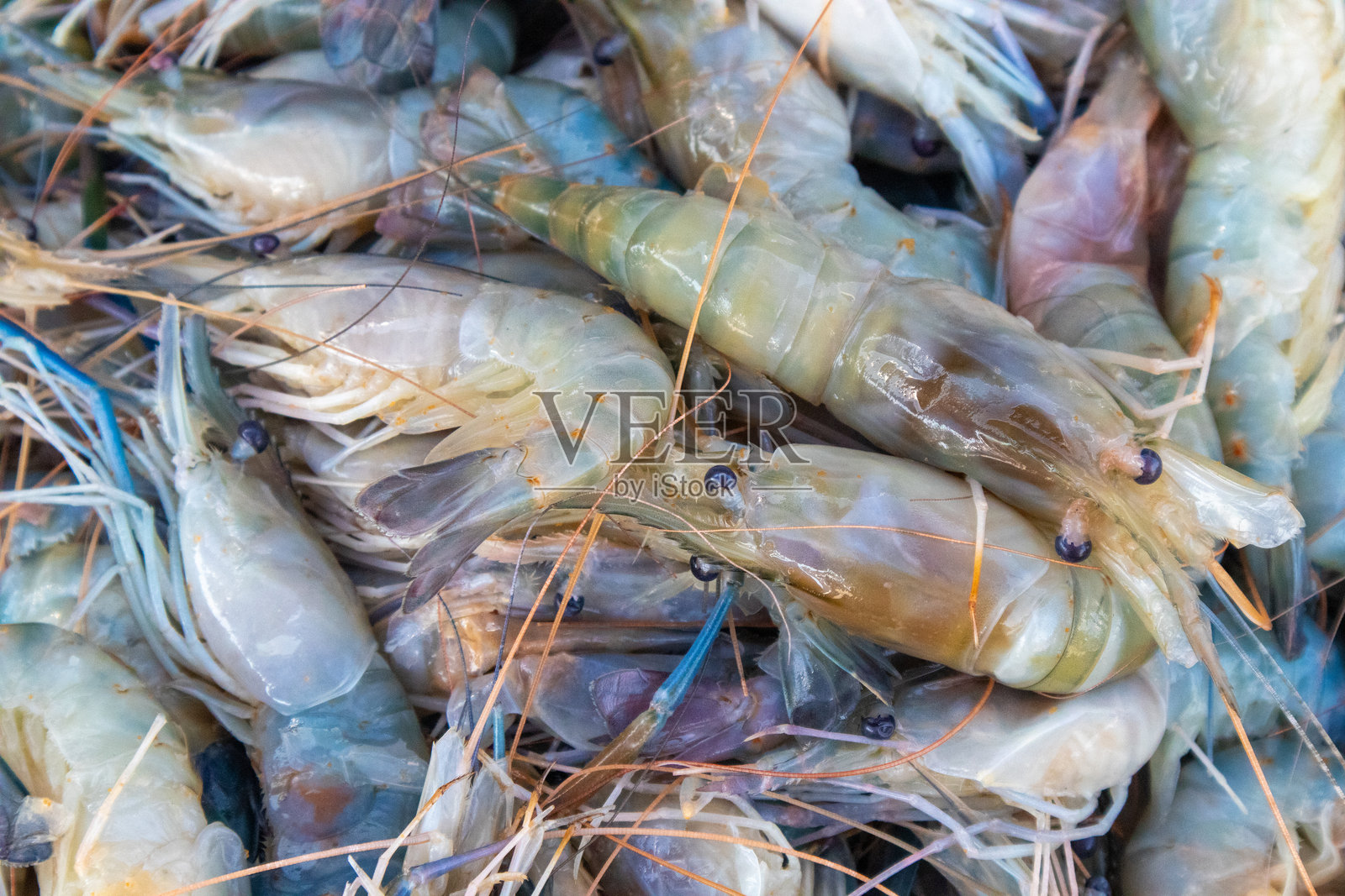 海鲜市场上冰盘上的新鲜河虾照片摄影图片