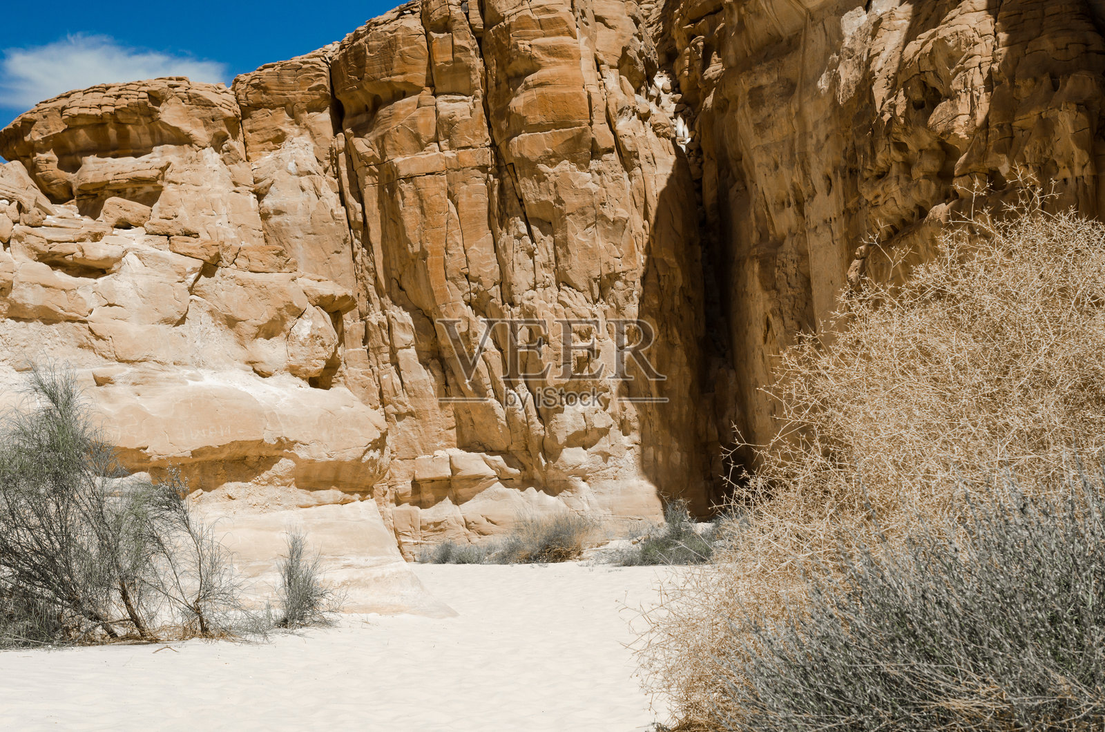 埃及南西奈达哈布沙漠峡谷中的岩石间的绿色植物照片摄影图片