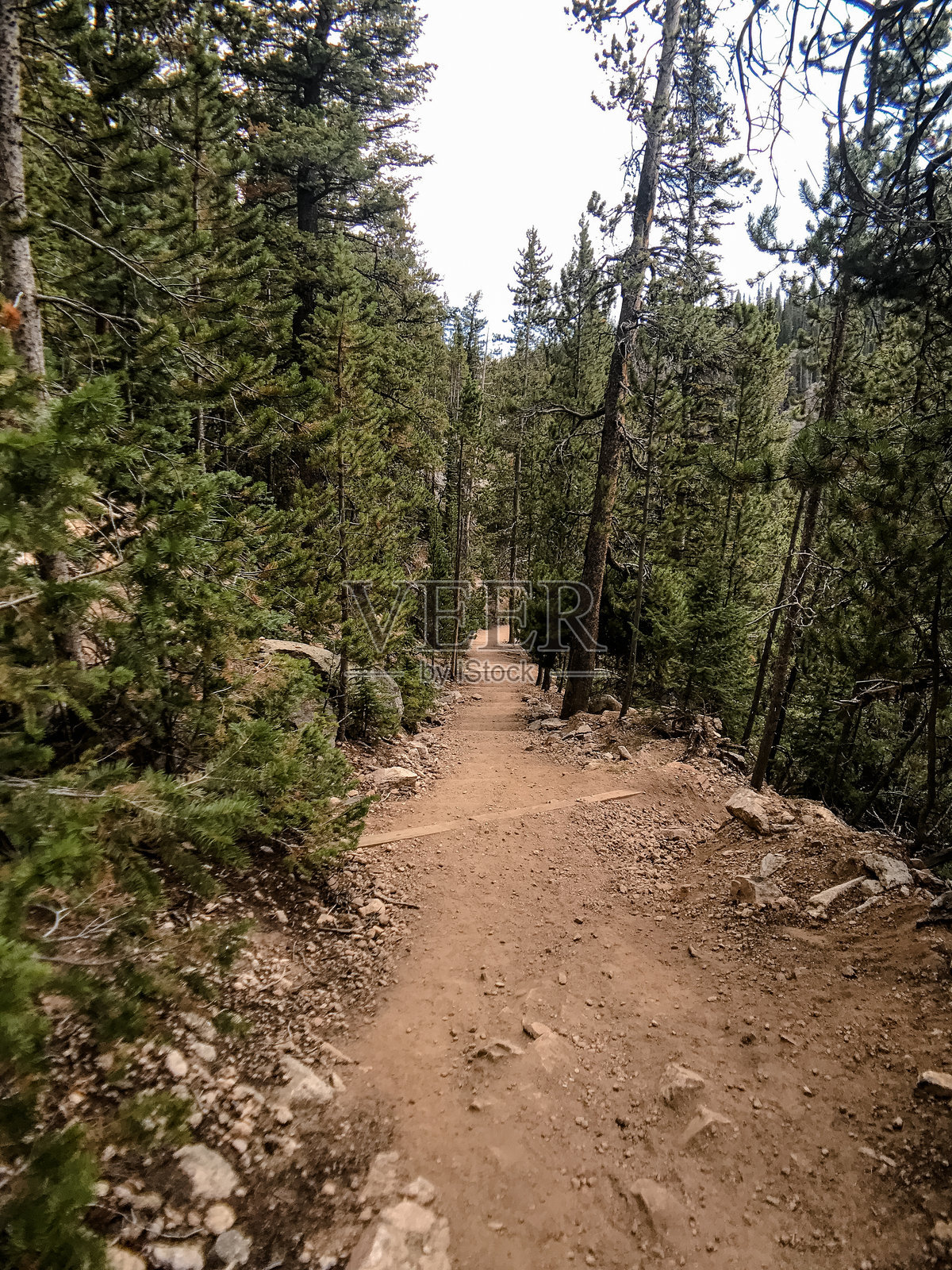 优胜美地的乡村小径照片摄影图片
