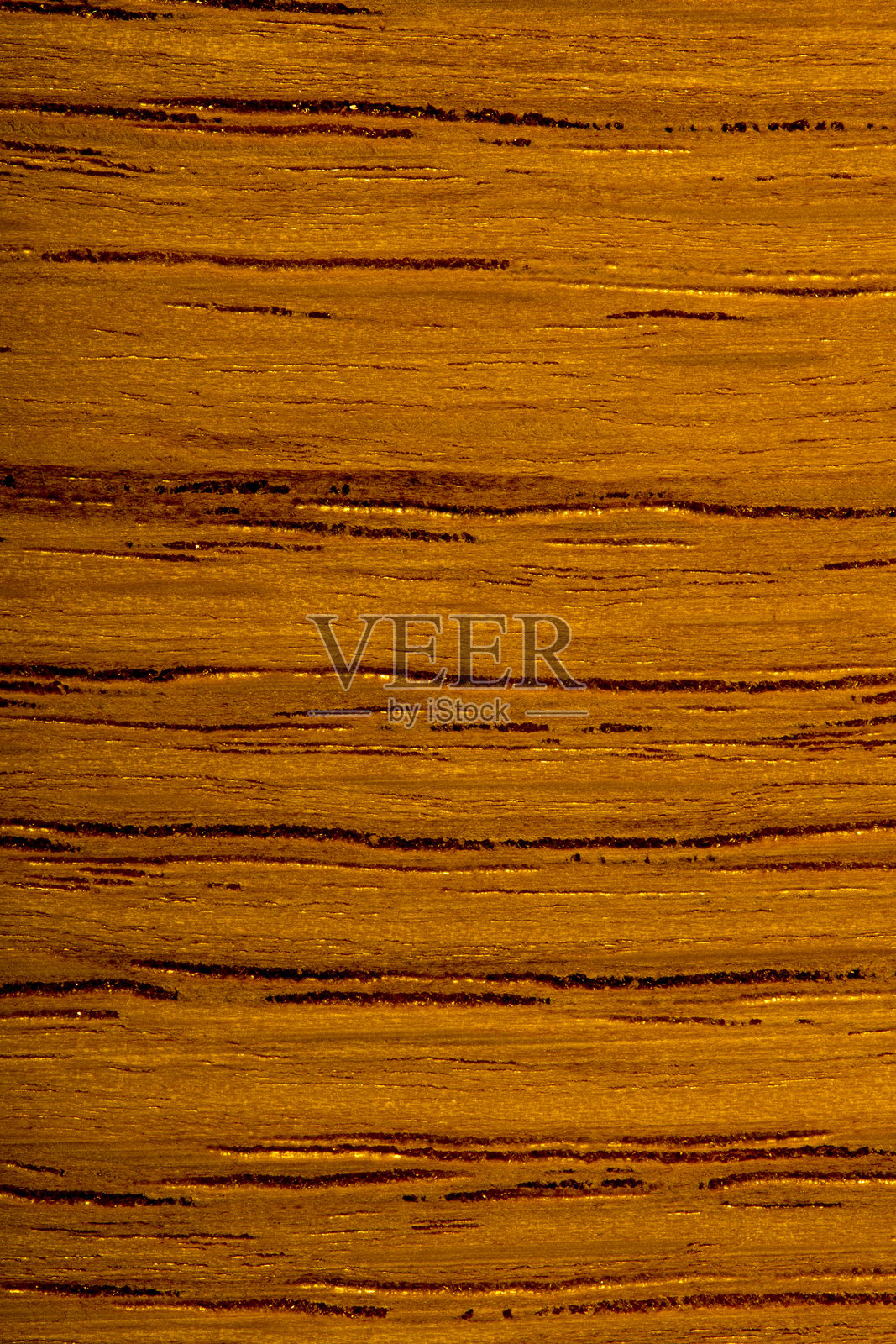 金色橡木特写照片摄影图片