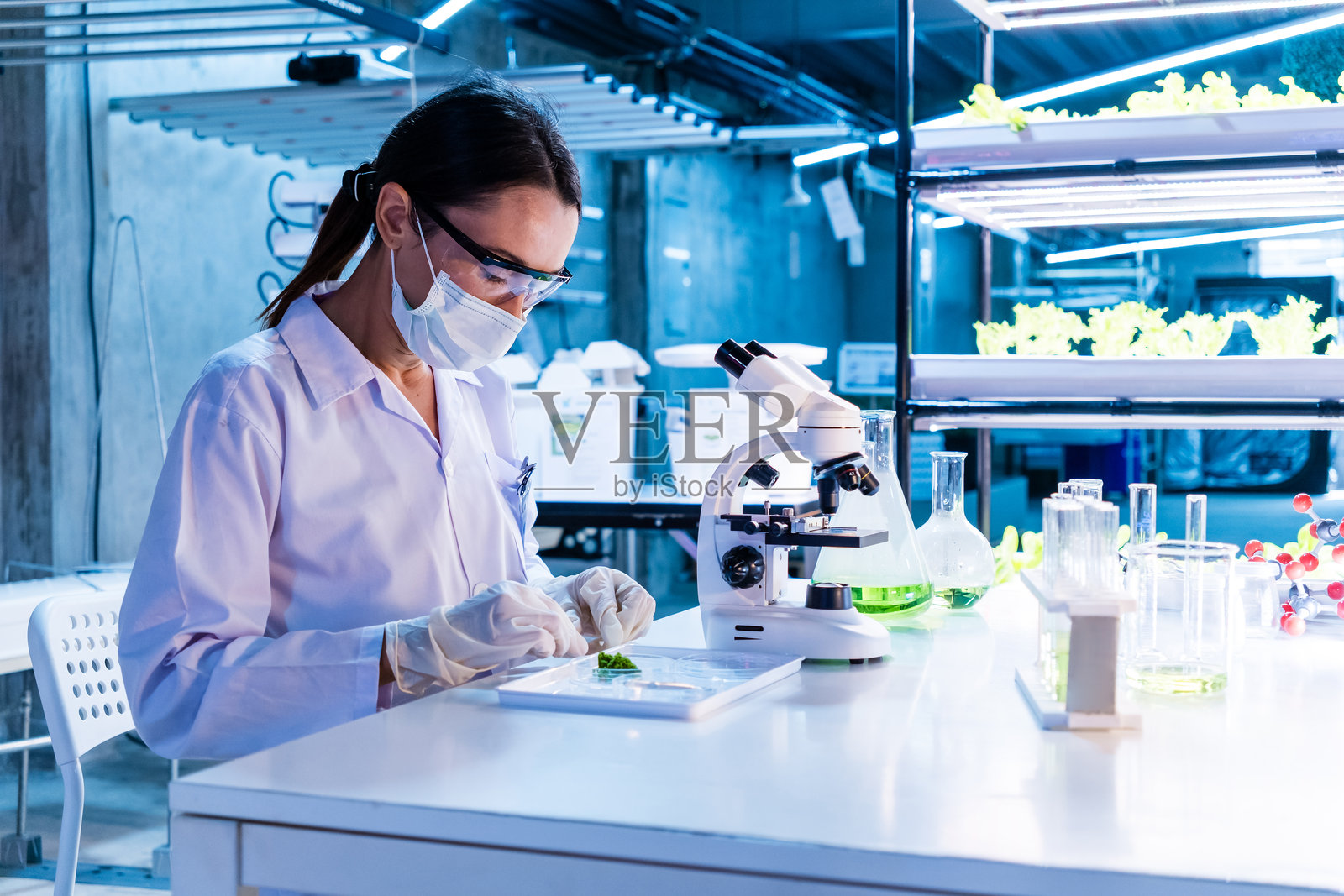 一位白人女性科学家在现代实验室中使用显微镜，检查植物样本，穿着防护装备，突显科学研究的创新。可持续食品业务照片摄影图片