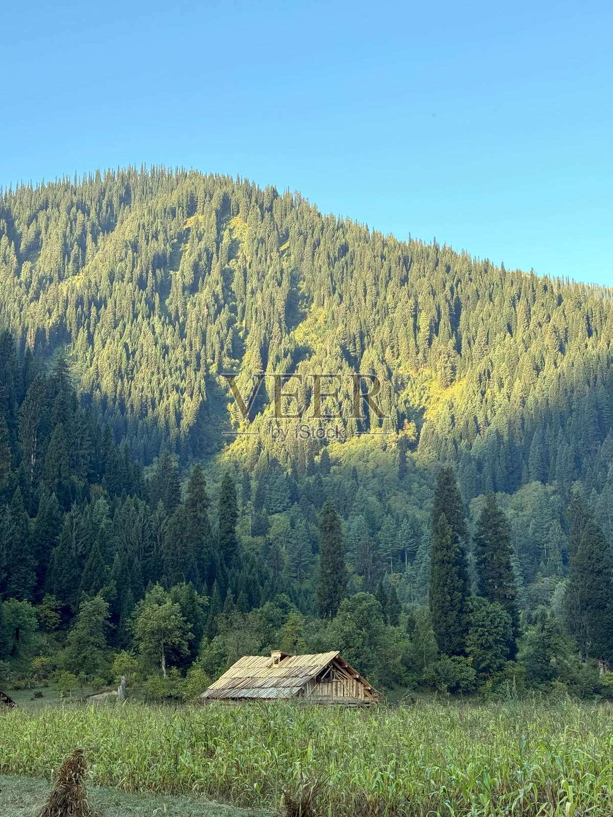 阿朗凯尔尼尔姆谷塔巴特的美丽景色，克什米尔，巴基斯坦照片摄影图片