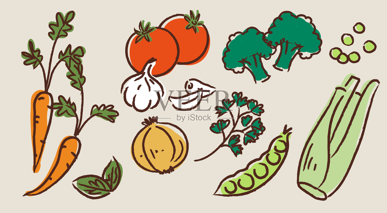 新鲜蔬菜矢量手绘插图插画图片素材