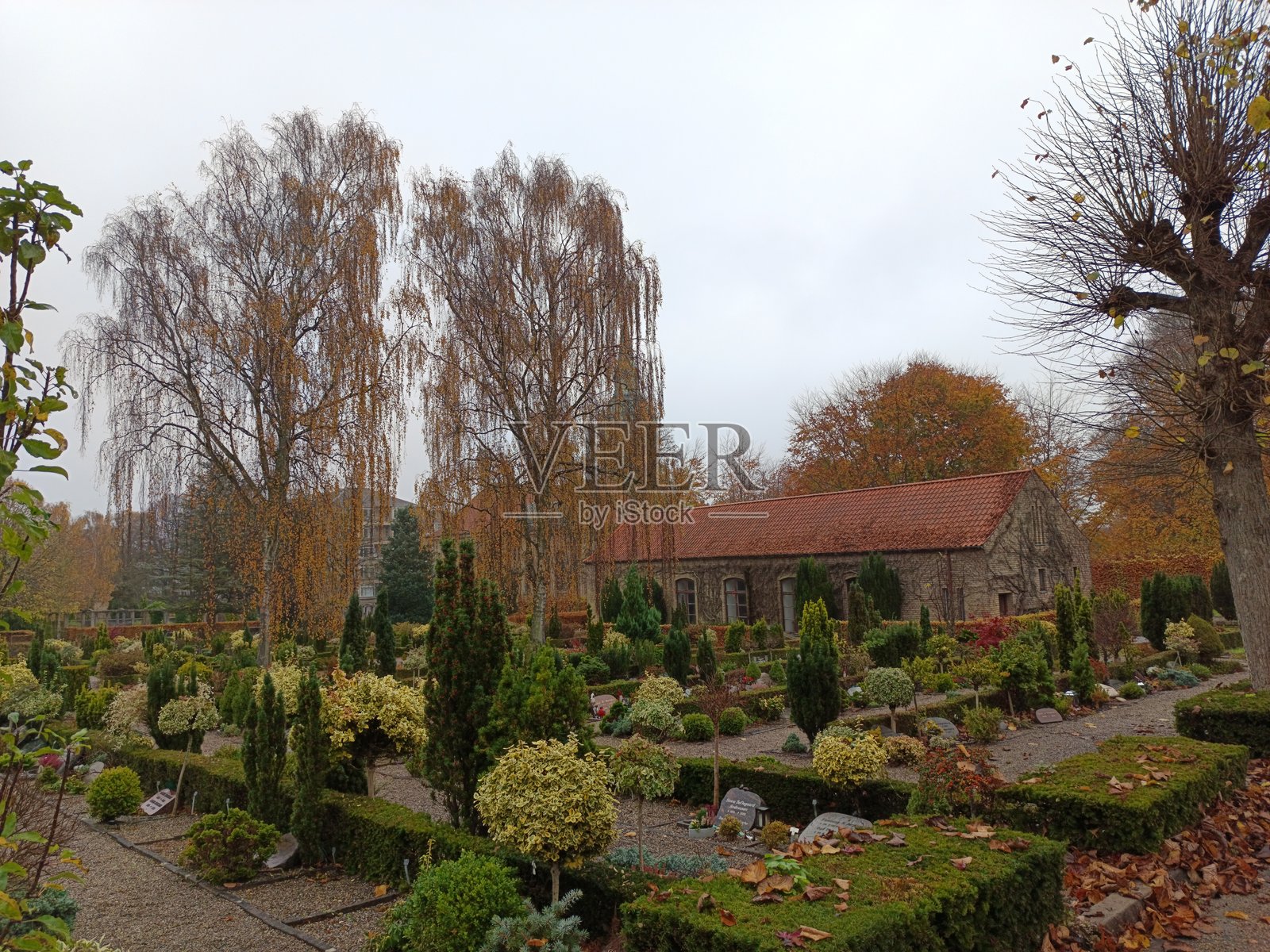 丹麦北尤兰的奥尔堡阿尔门公墓在细雨绵绵的日子里照片摄影图片