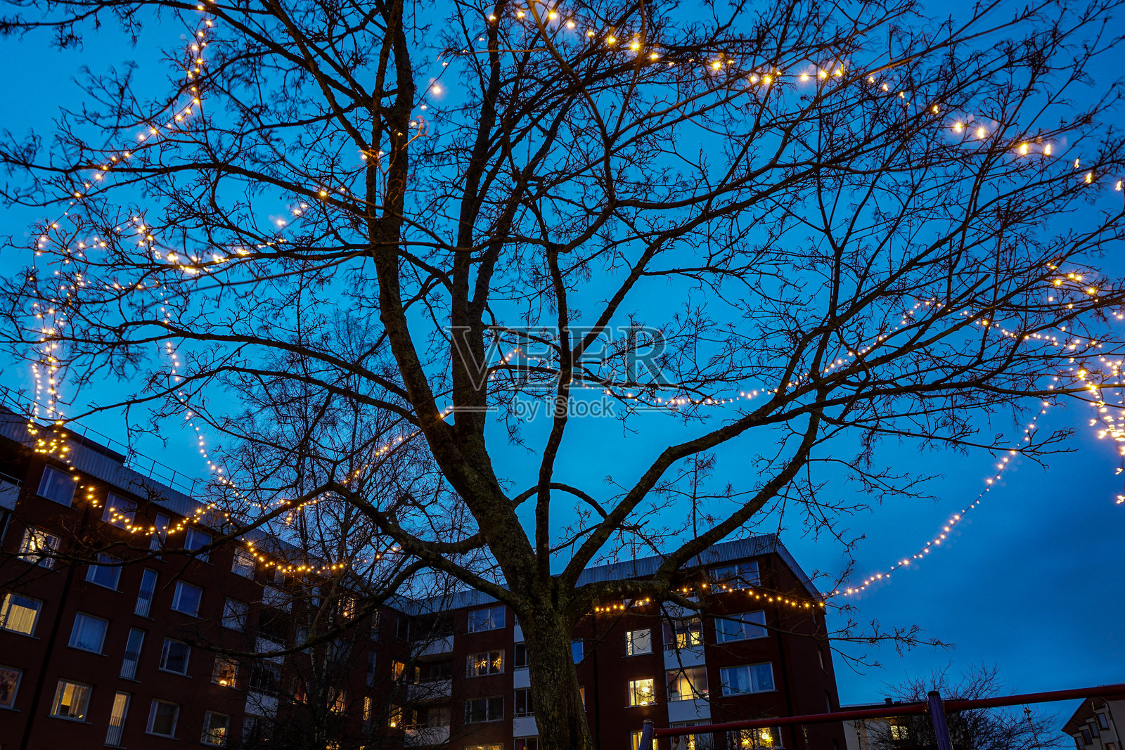 夜间低角度拍摄的装饰灯光树木照片摄影图片