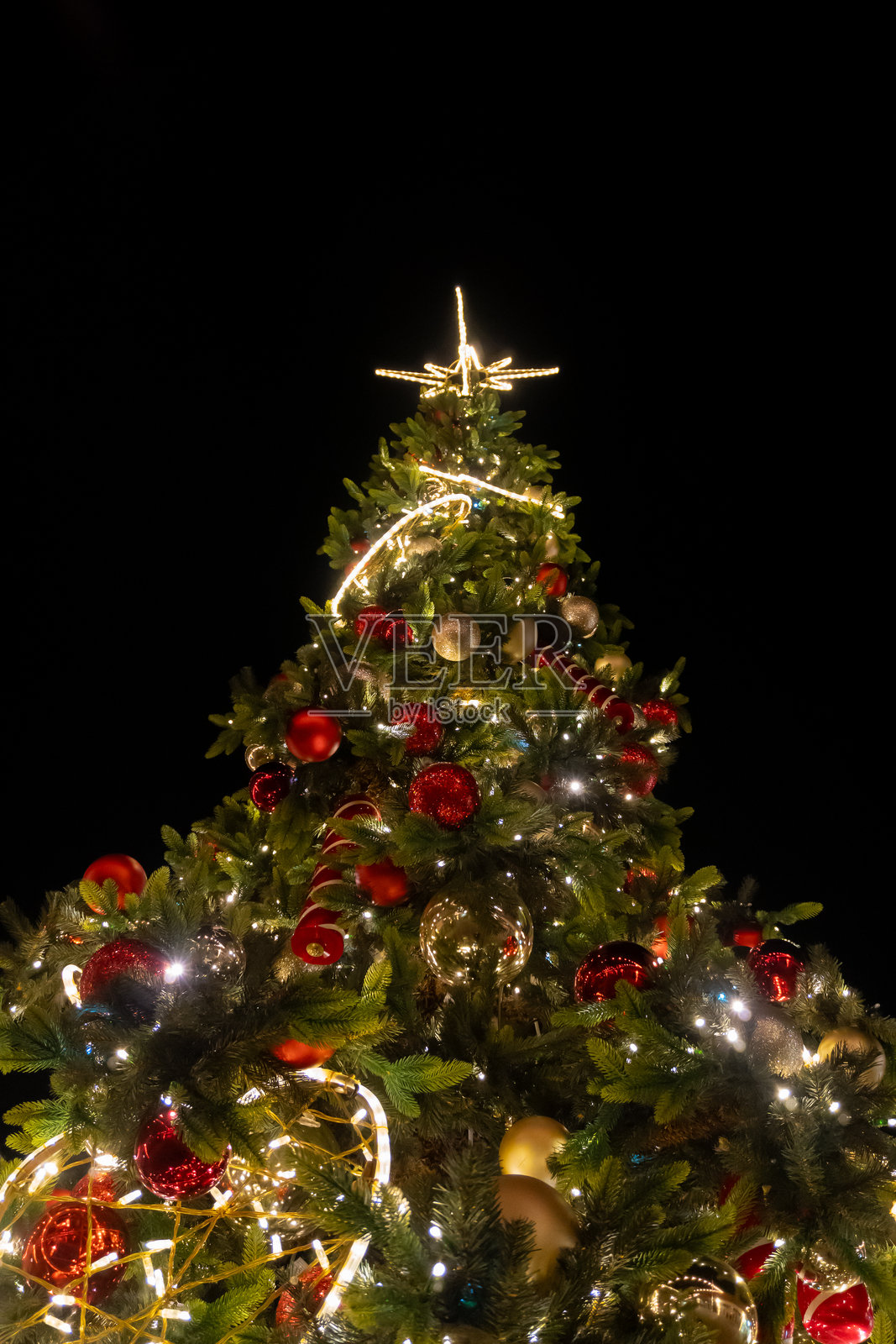 一棵郁郁葱葱的圣诞树，装饰着红色和金色的饰品以及闪烁的灯串，在夜晚的黑暗中高高耸立，散发着节日的光辉。照片摄影图片