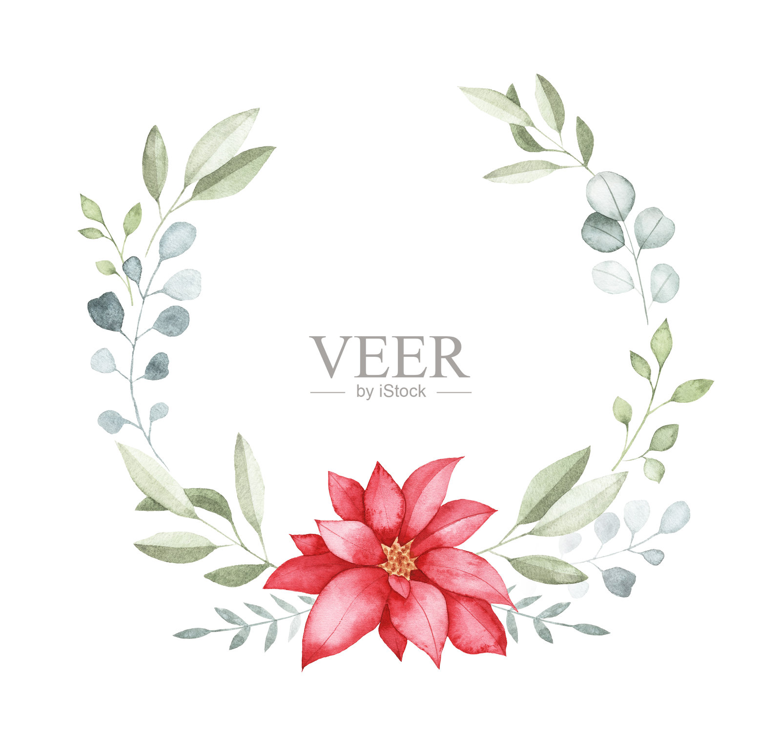水彩冬季花环，配有一朵圣诞红花和绿叶插画图片素材