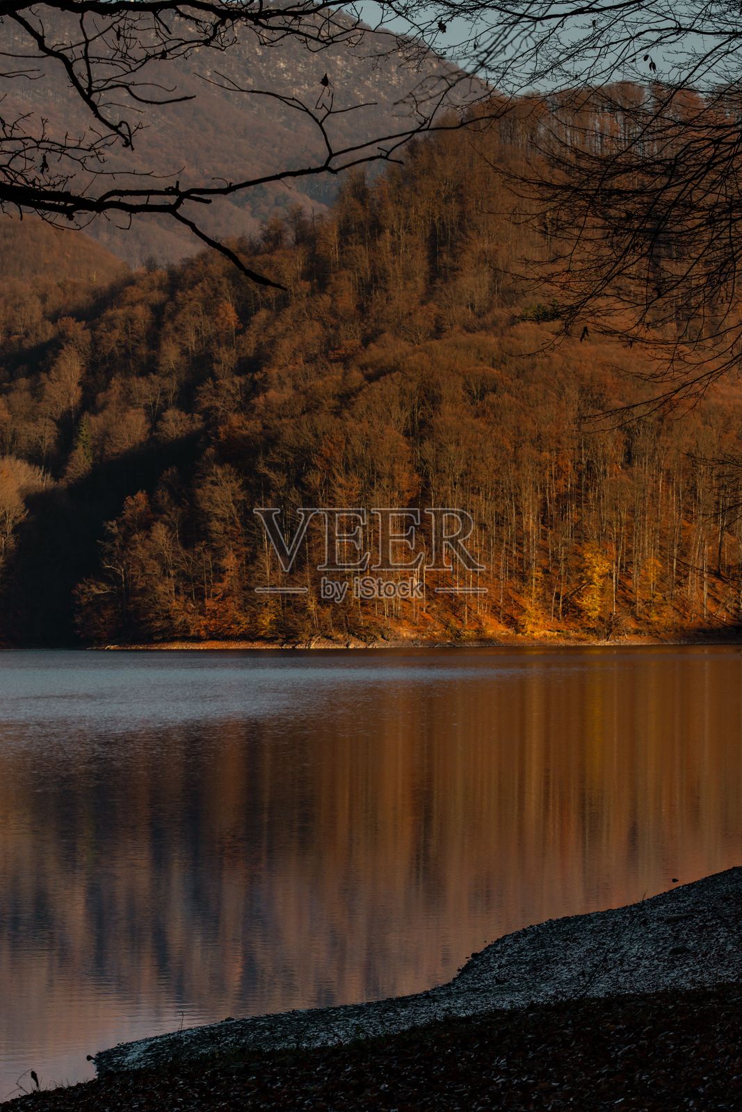 宁静的森林湖泊与秋天的倒影照片摄影图片