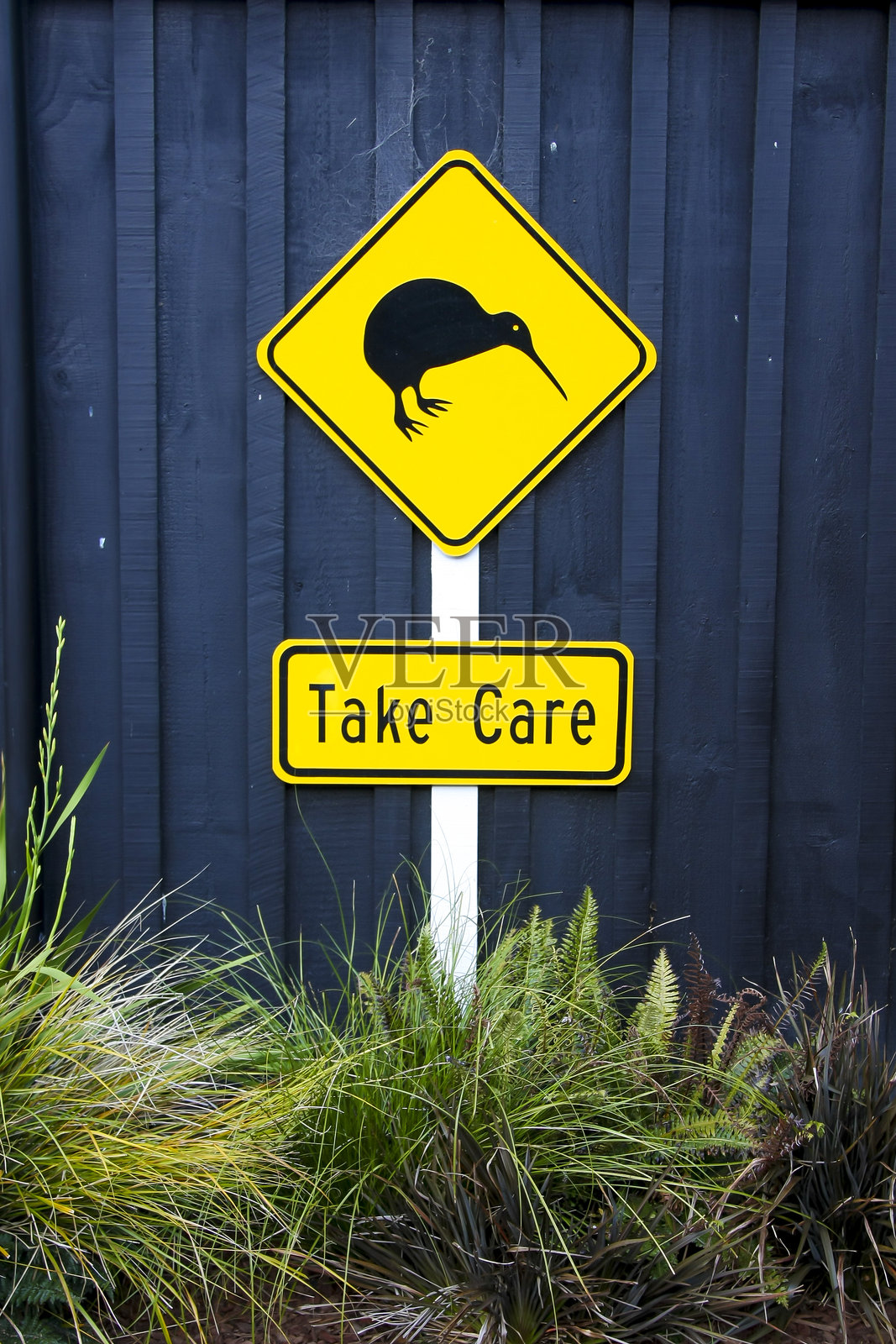新西兰的奇异果标志照片摄影图片