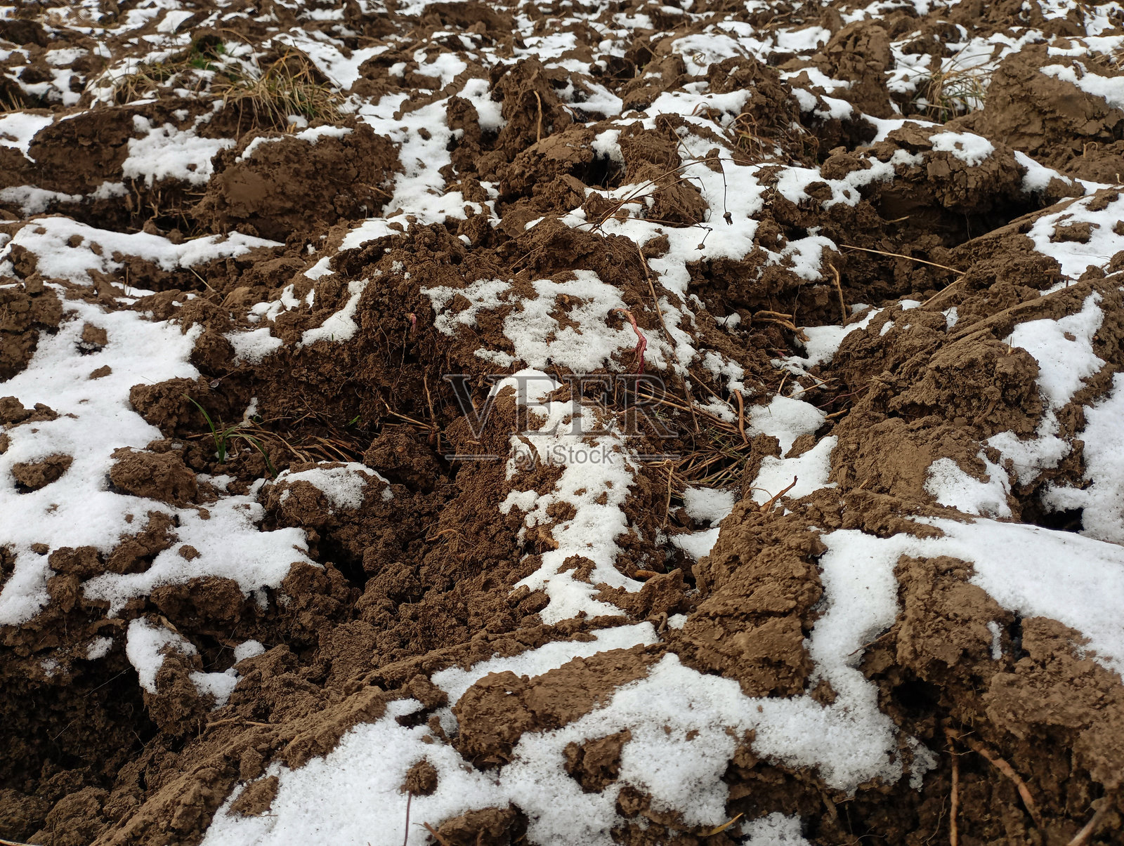 田野上的初雪。耕作过的黑土上覆盖着雪。薄薄的雪层下是土壤。照片摄影图片
