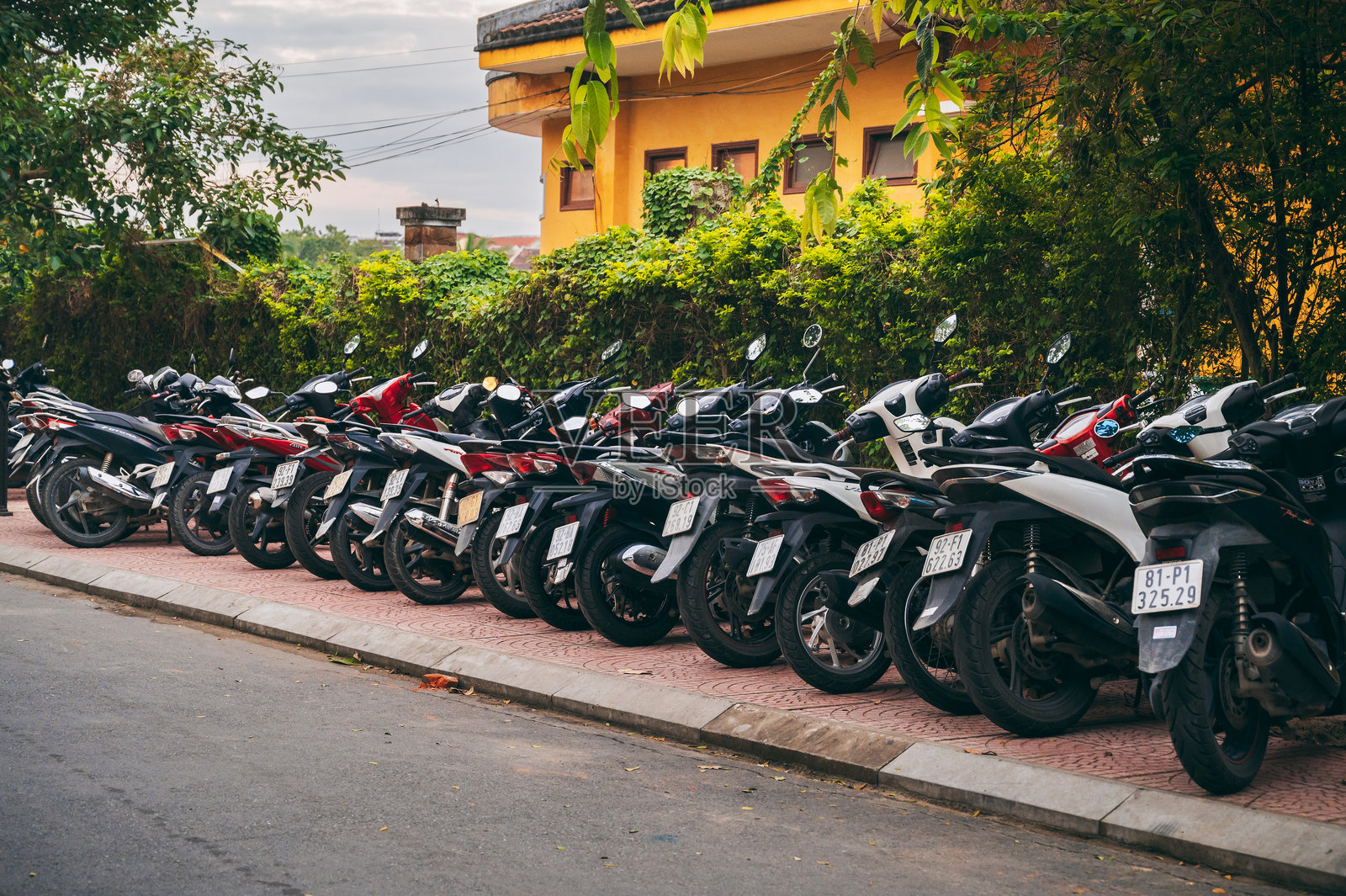 一排电动车停在胡志明市附近的棕榈树旁。越南，胡志明市 - 2024年12月1日照片摄影图片