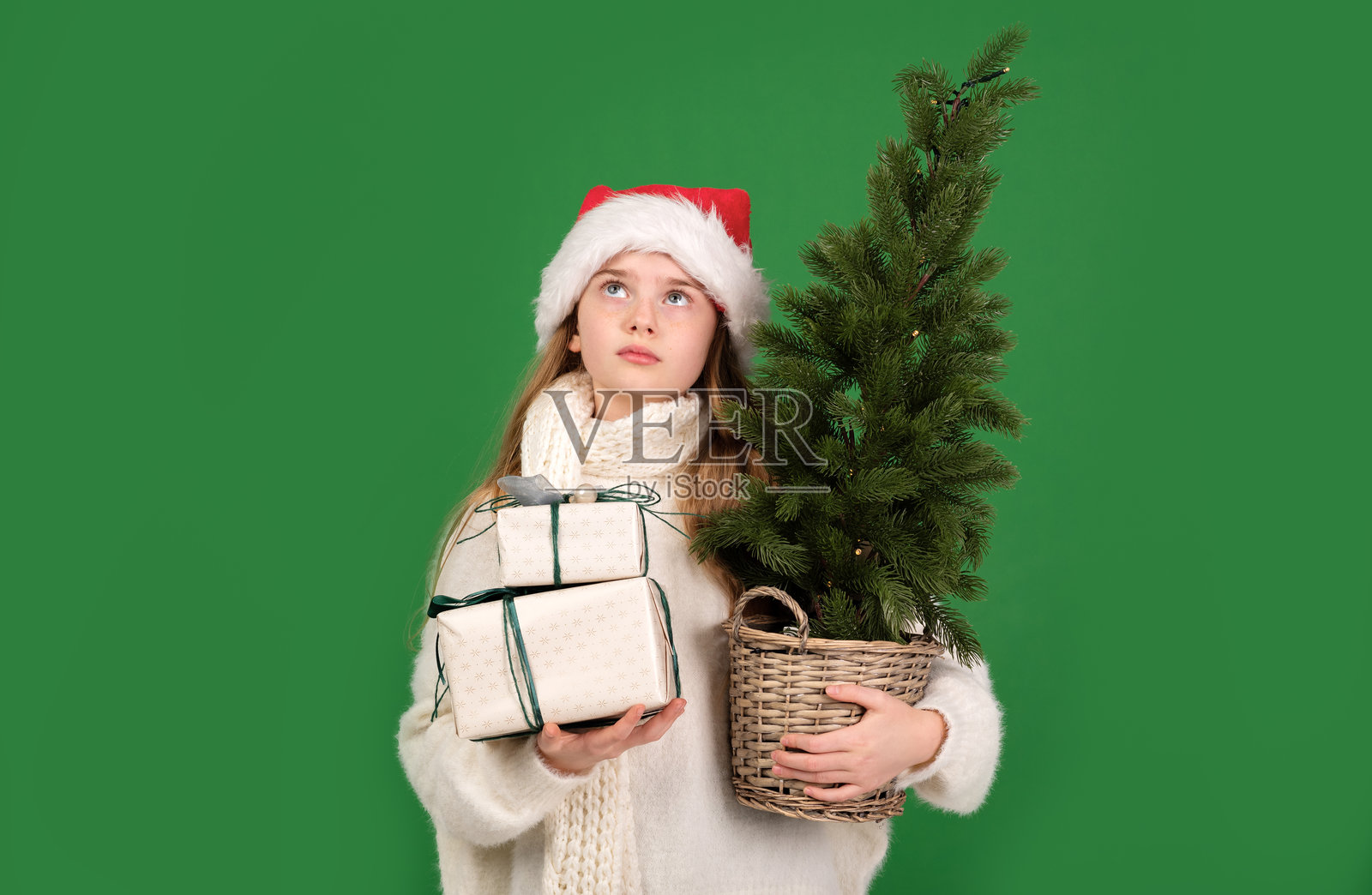 戴着圣诞帽的沉思女孩手捧礼物和圣诞树，准备迎接节日季节，背景为绿色。照片摄影图片