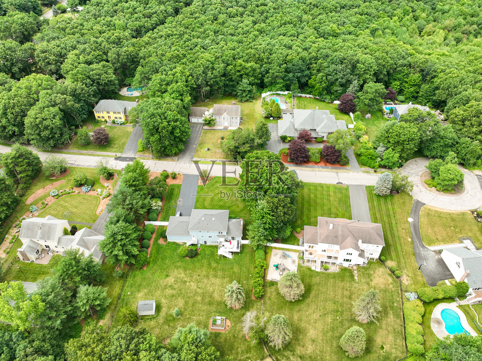 马萨诸塞州诺福克县郊区社区的鸟瞰图，绿树成荫，豪华别墅矗立其中。照片摄影图片