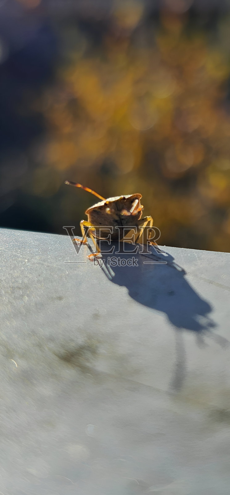 走开照片摄影图片