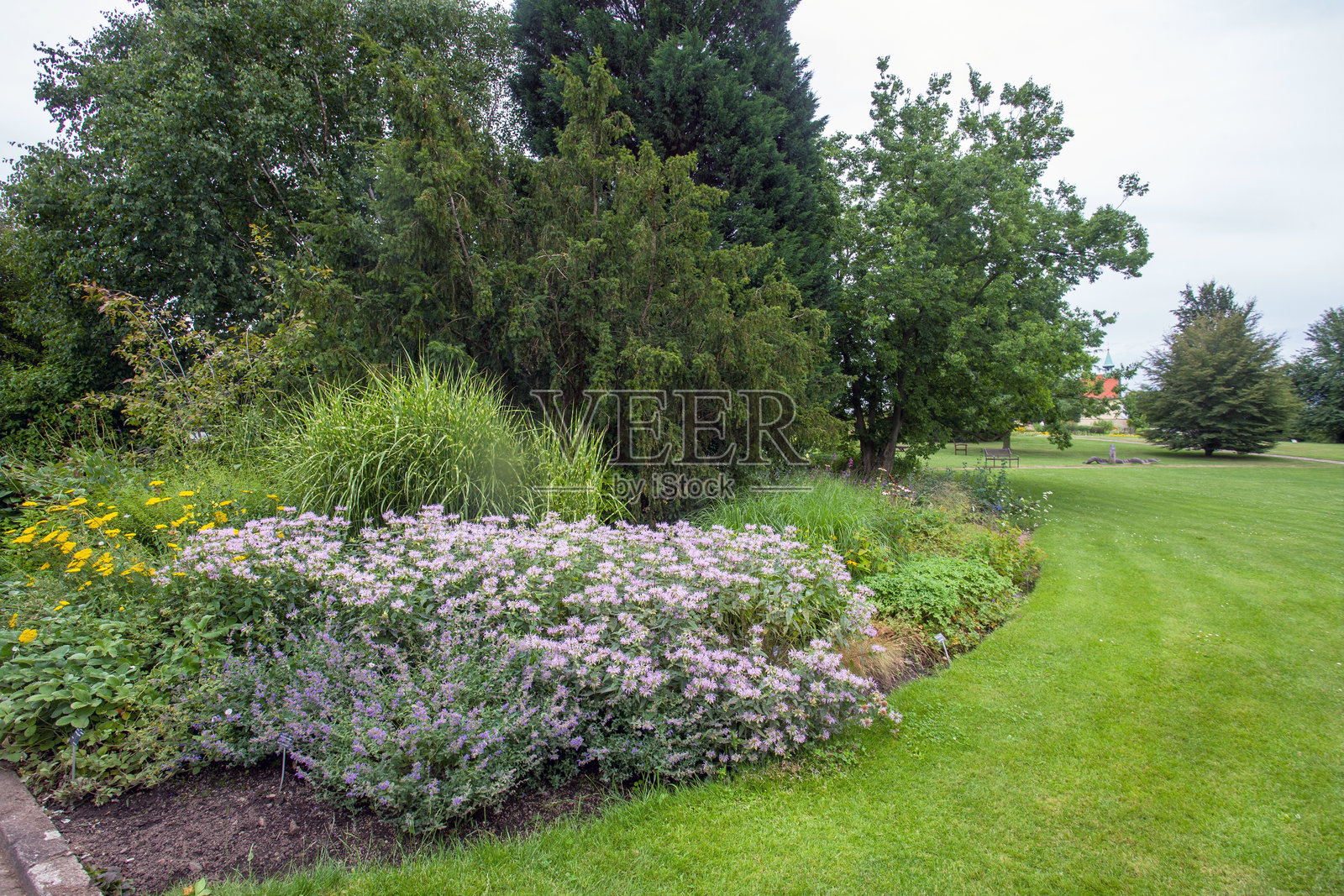 布拉格植物园在夏季或春季的美丽景色照片摄影图片