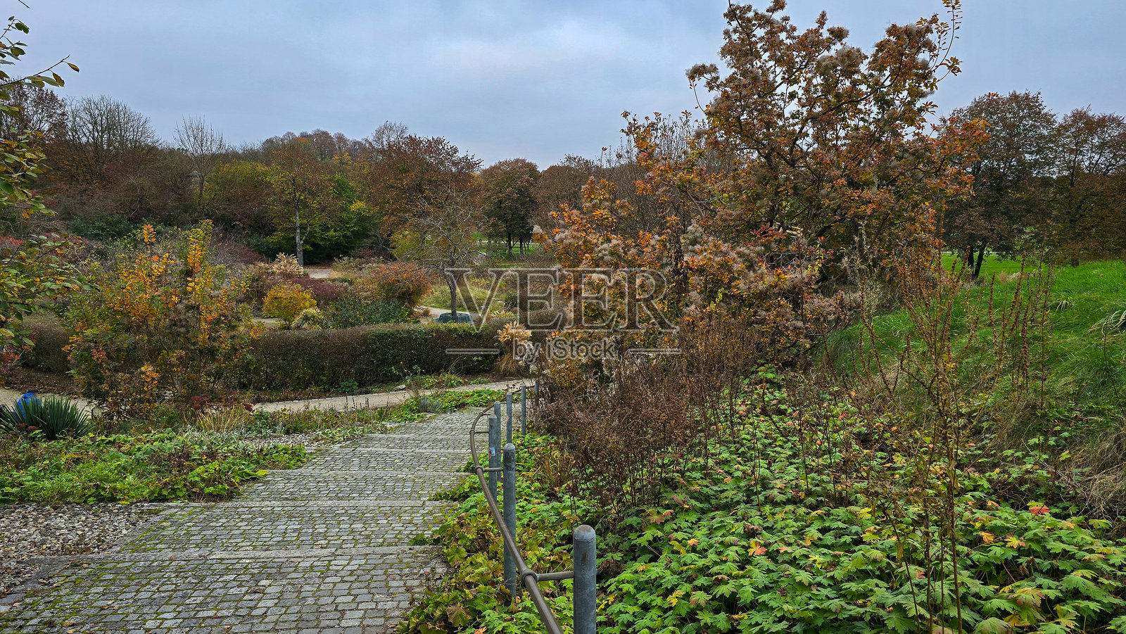 慕尼黑西公园的深秋，树木、灌木、小径和黄色的落叶照片摄影图片