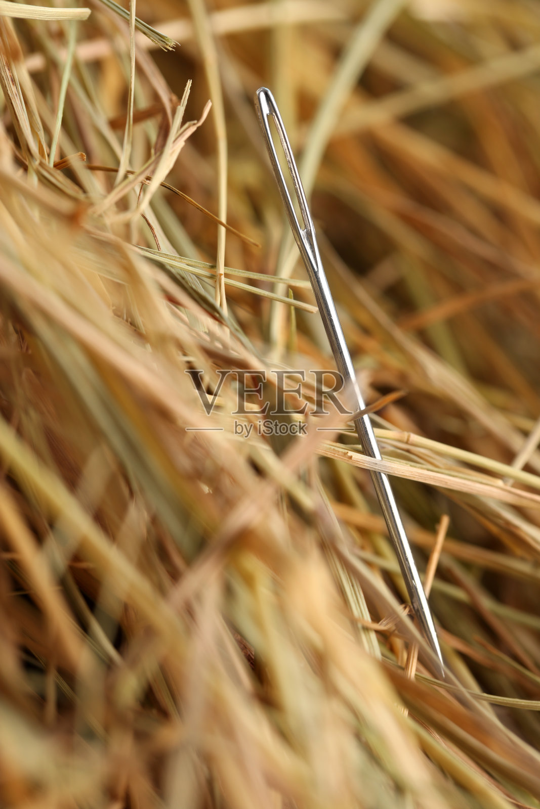 干草堆中的针特写照片摄影图片