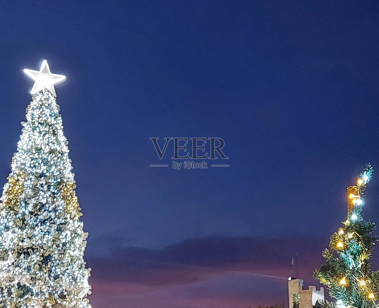 一个夜晚的场景，圣诞树上华丽地装饰着灯光照片摄影图片