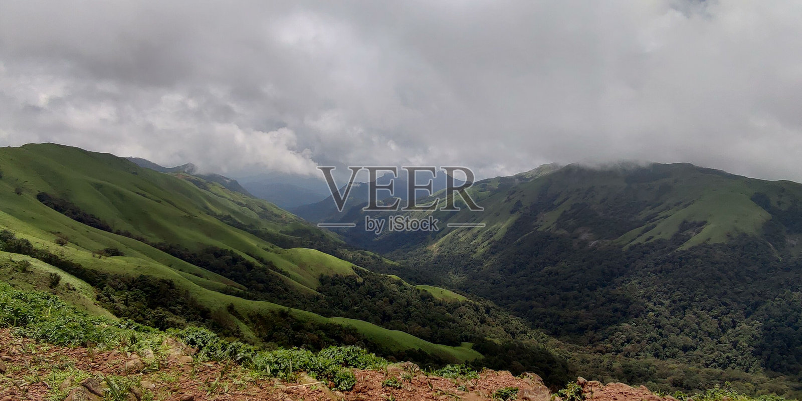 印度卡纳塔克邦西高止山脉德瓦拉曼的郁郁葱葱的绿色山脉风景照片摄影图片