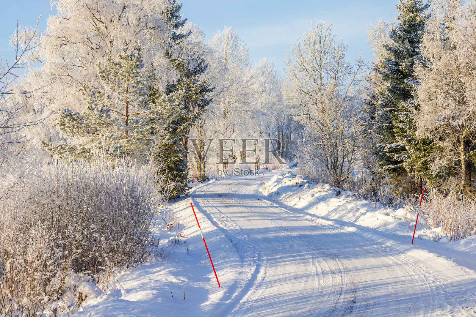 寒冷冬日的蜿蜒雪-covered森林道路照片摄影图片