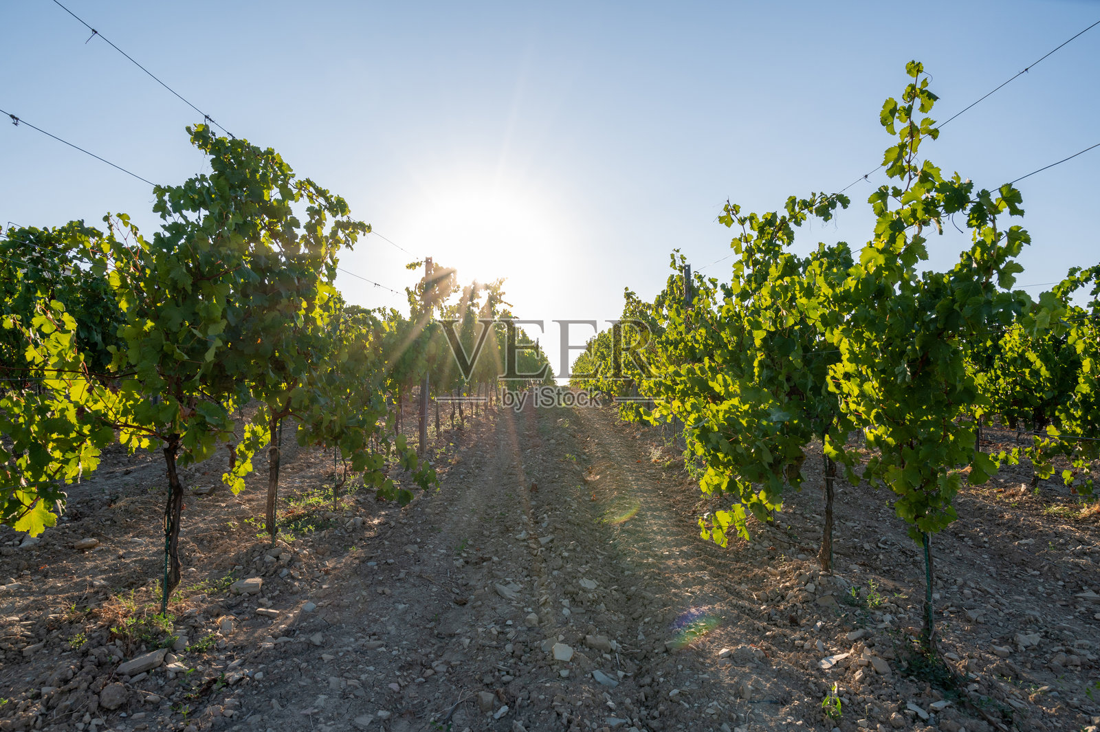 日落时分波涛起伏的蓝色海面。照片摄影图片
