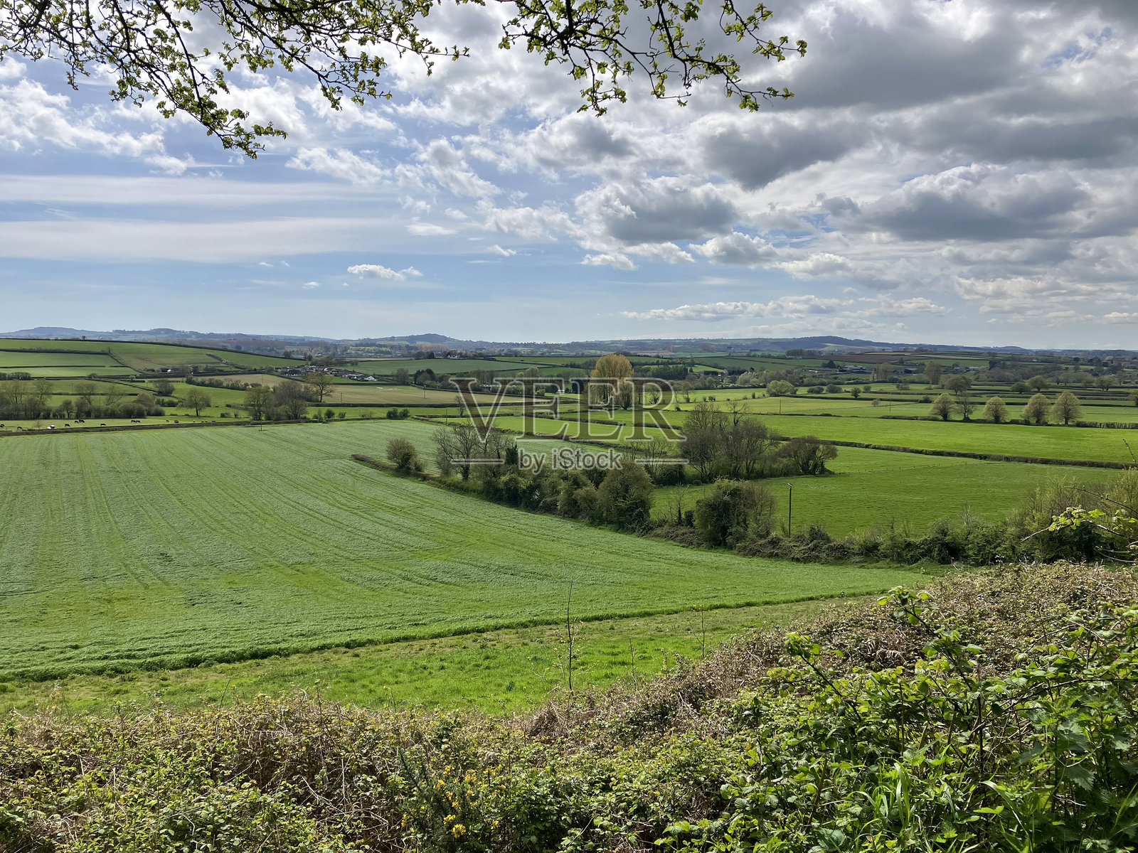 春天的英格兰乡村风景照片摄影图片