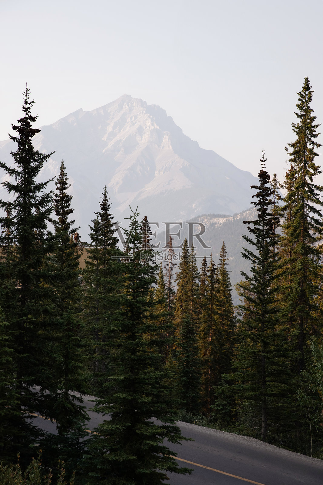 加拿大落基山脉，阿尔伯塔省的夏季假期。照片摄影图片