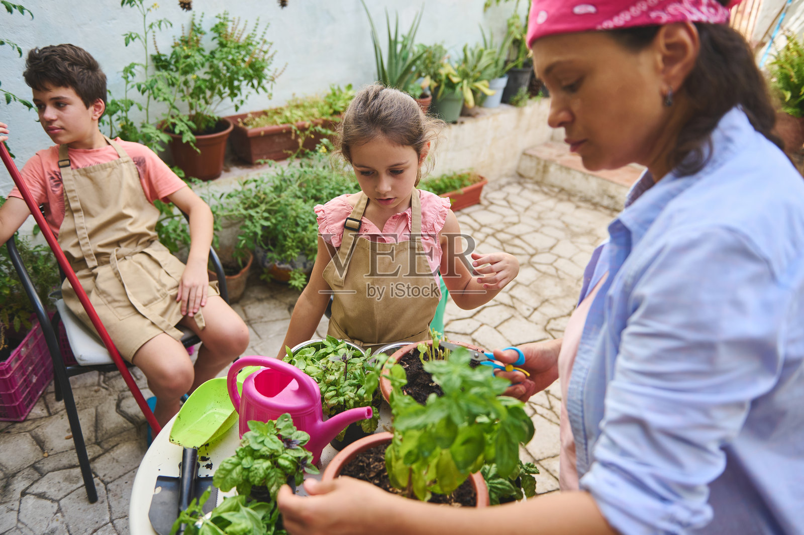 家庭在后院花园与孩子们一起进行园艺活动照片摄影图片