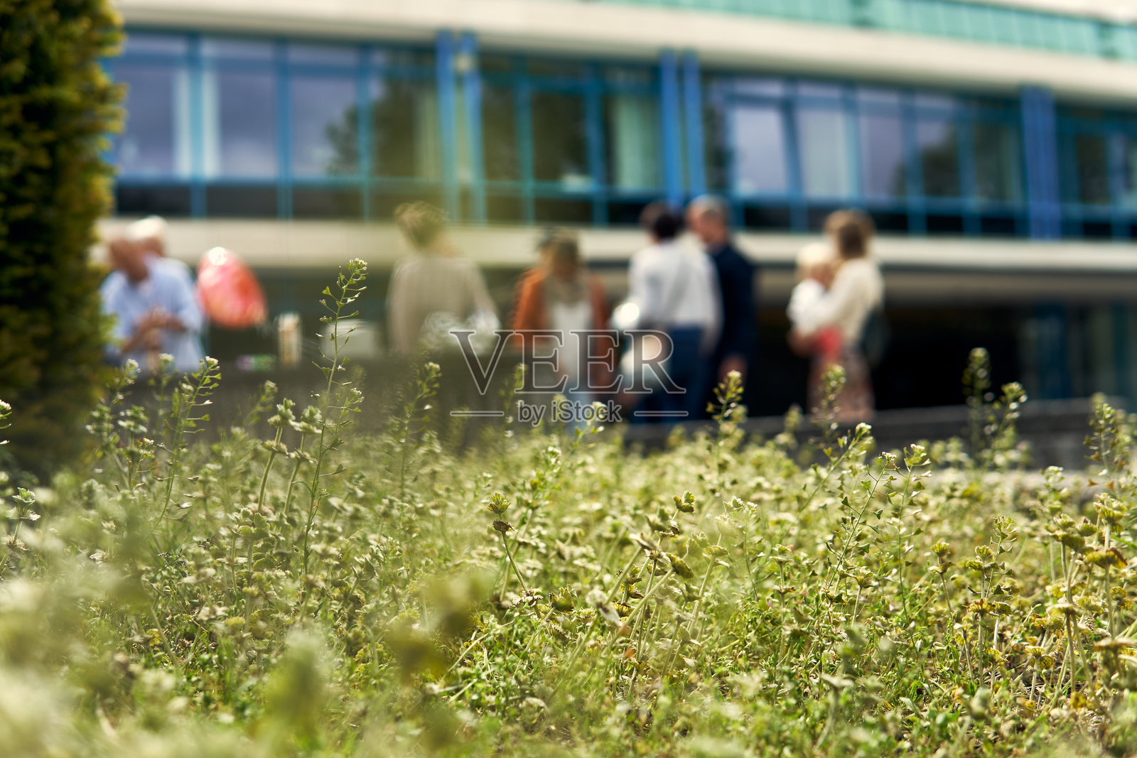在白天的户外环境中，人们聚集在一起，背景模糊，绿意盎然。照片摄影图片