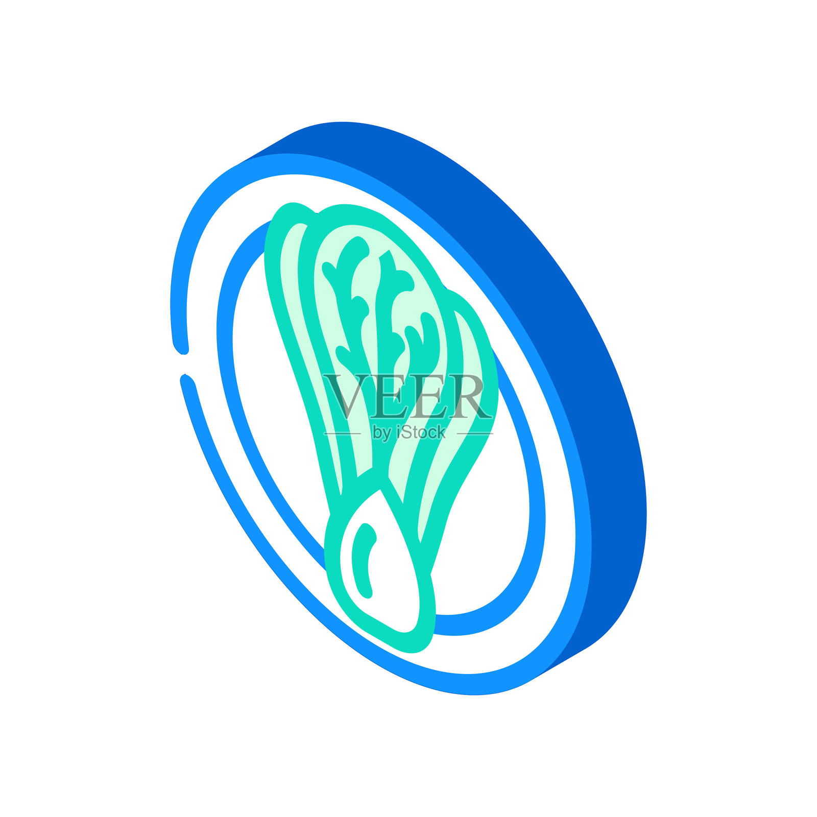 小白菜中国菜等距图标矢量插图插画图片素材